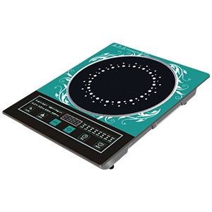 Induction Cooker